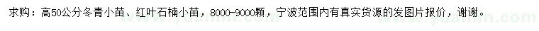 求购高50公分冬青、红叶石楠