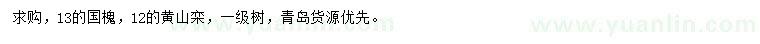 求购13公分国槐、12公分黄山栾树