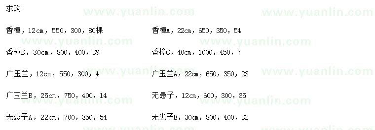 求购香樟、广玉兰、无患子