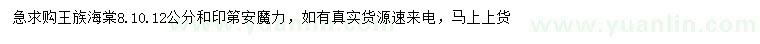 求购8、10、12公分王族海棠、印第安魔力