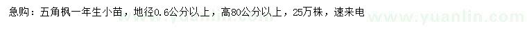 求购地径0.6公分以上五角枫