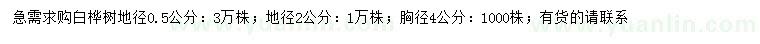 求购地径0.5、2公分白桦树、胸径4公分白桦树