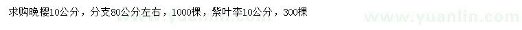 求购10公分晚樱、紫叶李