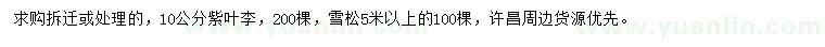 求购10公分紫叶李、5.5米雪松