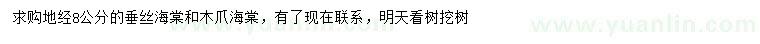 求购地经8公分垂丝海棠、木爪海棠