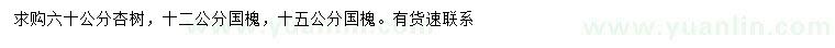 求购60公分杏树、12、15公分国槐