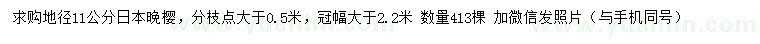 求购地径11公分日本晚樱