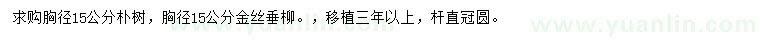 求购胸径15公分朴树、金丝垂柳