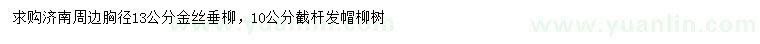 求购胸径13公分金丝垂柳、10公分柳树