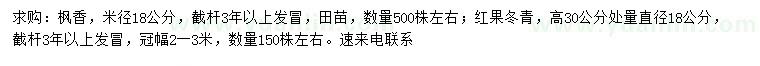 求购米径18公分枫香、30量18公分红果冬青