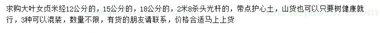 求购米径12、15、18公分大叶女贞