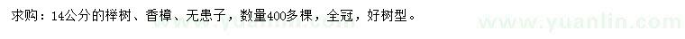 求购榉树、香樟、无患子