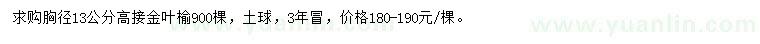 求购胸径13公分高接金叶榆