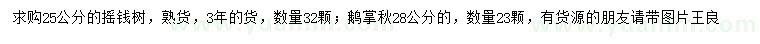 求购25公分摇钱树、28公分鹅掌楸