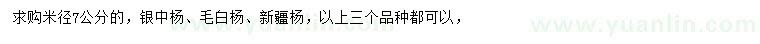 求购银中杨、毛白杨、新疆杨