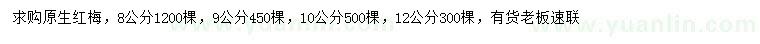 求购8、9、10、12公分红梅