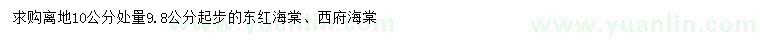 求购10公分量9.8公分起步冬红海棠、西府海棠