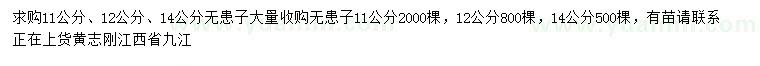 求购11公分、12公分、14公分无患子