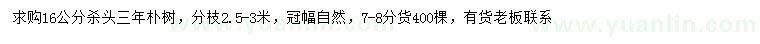 求购16公分朴树