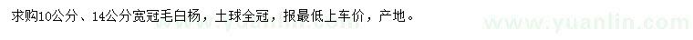 求购10、14公分宽冠毛白杨