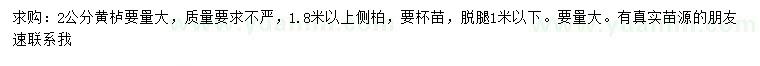 求购2公分黄栌、1.8米以上侧柏