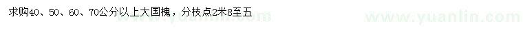 求购40、50、60、70公分以上大国槐