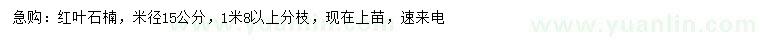 求购米径15公分红叶石楠