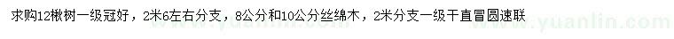 求购12公分楸树、8、10公分丝绵木