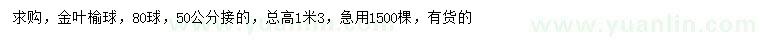 求购50公分金叶榆球