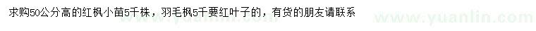 求购高50公分红枫、羽毛枫