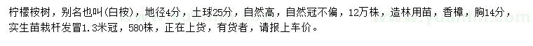 求购地径4公分柠檬桉、胸径14公分香樟