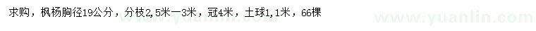 求购胸径19公分枫杨