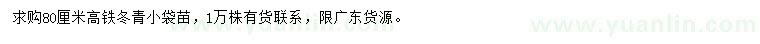 求购高80公分铁冬青