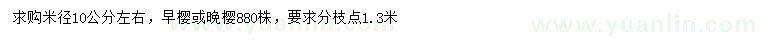 求购米径10公分早樱或晚樱