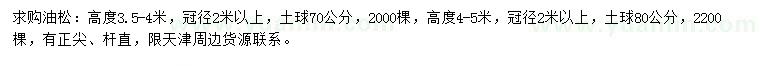 求购高3.5-4、4-5米油松