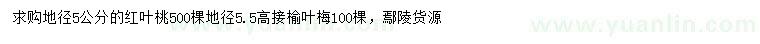 求购地径5公分红叶桃、榆叶梅