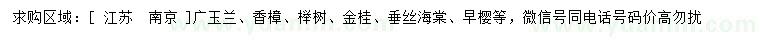 求购广玉兰、香樟、榉树等