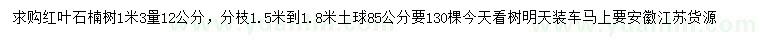 求购1米3量12公分红叶石楠