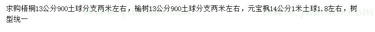 求购梧桐、榆树、元宝枫