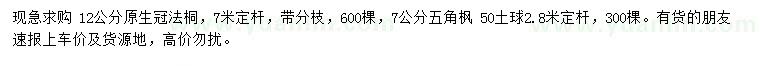 求购12公分速生法桐、7公分五角枫