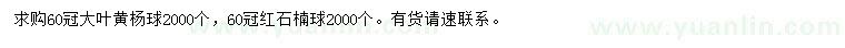 求购冠幅60公分大叶黄杨球、红石楠球