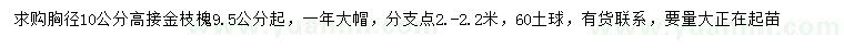 求购胸径10公分高接金枝槐