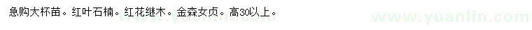求购红叶石楠、红花继木、金森女贞