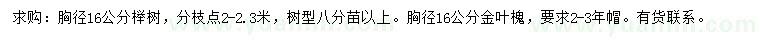 求购胸径16公分榉树、金叶槐