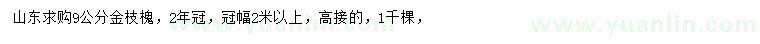 求购9公分金枝槐