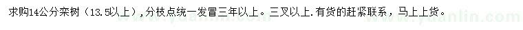 求购13.5公分以上栾树