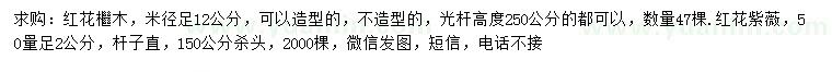 求购米径足12公分红花继木、50公分量足2公分红花紫薇