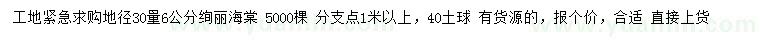 求购地径30量6公分绚丽海棠