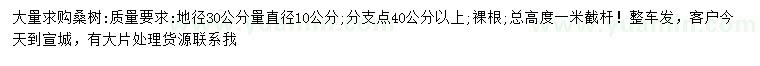 求购地径30公分量直径10公分桑树