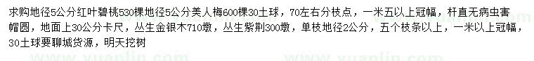 求购红叶碧桃、美人梅、丛生金银木等